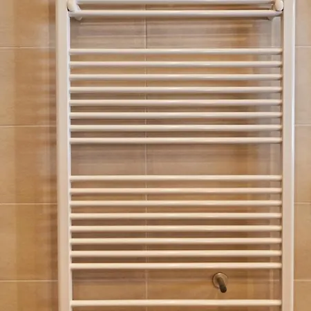 Penthouse Moosweg Vakantiehuis Maishofen