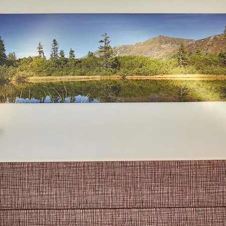 Penthouse Moosweg * Maishofen