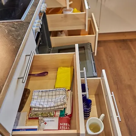 Penthouse Moosweg Vakantiehuis Maishofen